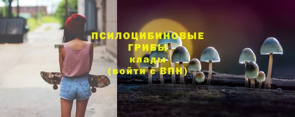 сатива Покровск