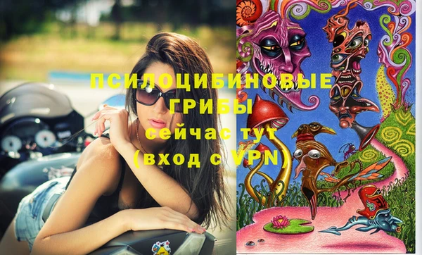 таблы Верхний Тагил
