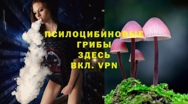 mdpv Новозыбков
