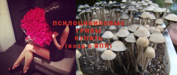хмурый Сясьстрой