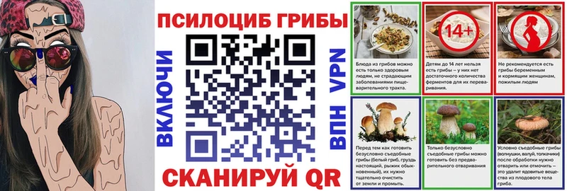 Галлюциногенные грибы Psilocybe  купить   Полярный 